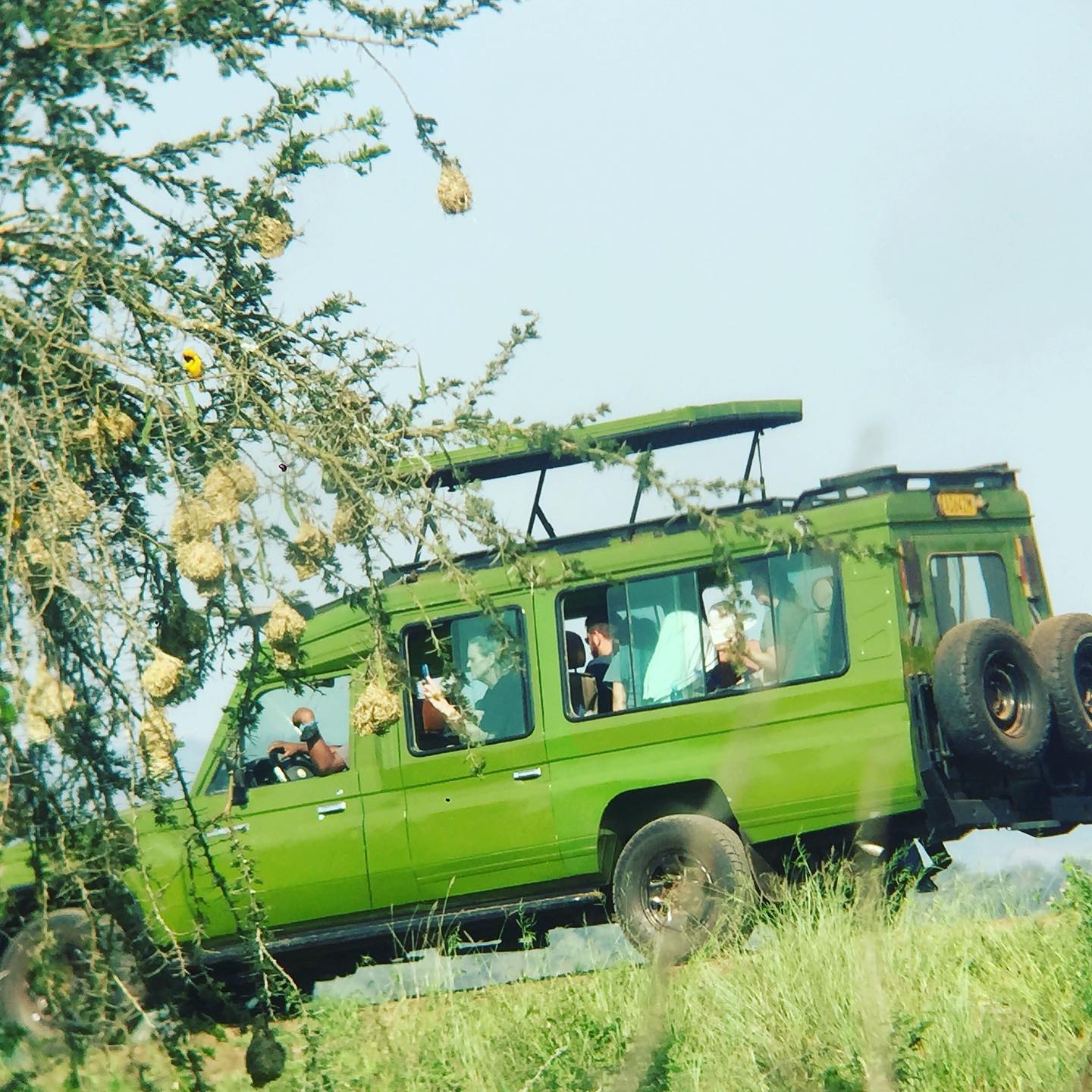 Game-drive-safaris-in-Rwanda