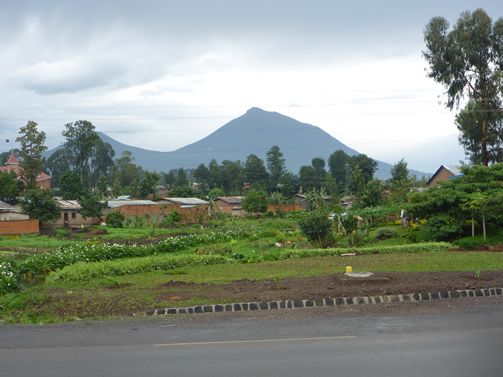 karisimbi-mountain-Hiking-Activity